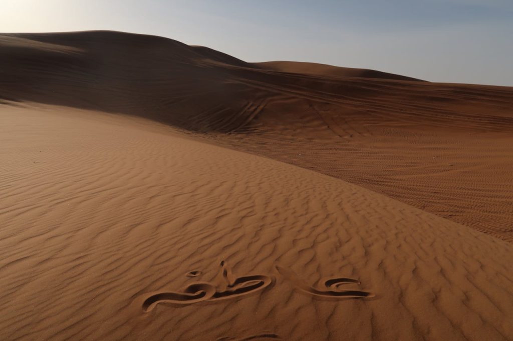 Top 10 Desert Activities in Dubai: Thrills Amidst the Dunes